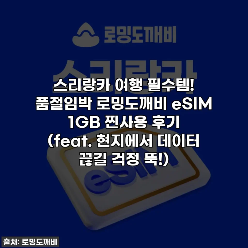 스리랑카 여행 필수템! 품절임박 로밍도깨비 eSIM 1GB 찐사용 후기 (feat. 현지에서 데이터 끊길 걱정 뚝!)
