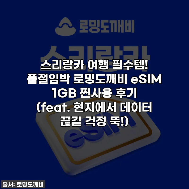 스리랑카 여행 필수템! 품절임박 로밍도깨비 eSIM 1GB 찐사용 후기 (feat. 현지에서 데이터 끊길 걱정 뚝!)