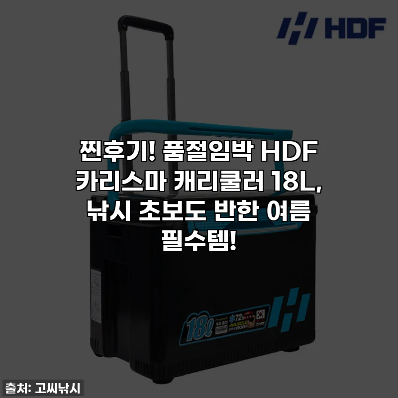 찐후기! 품절임박 HDF 카리스마 캐리쿨러 18L, 낚시 초보도 반한 여름 필수템!