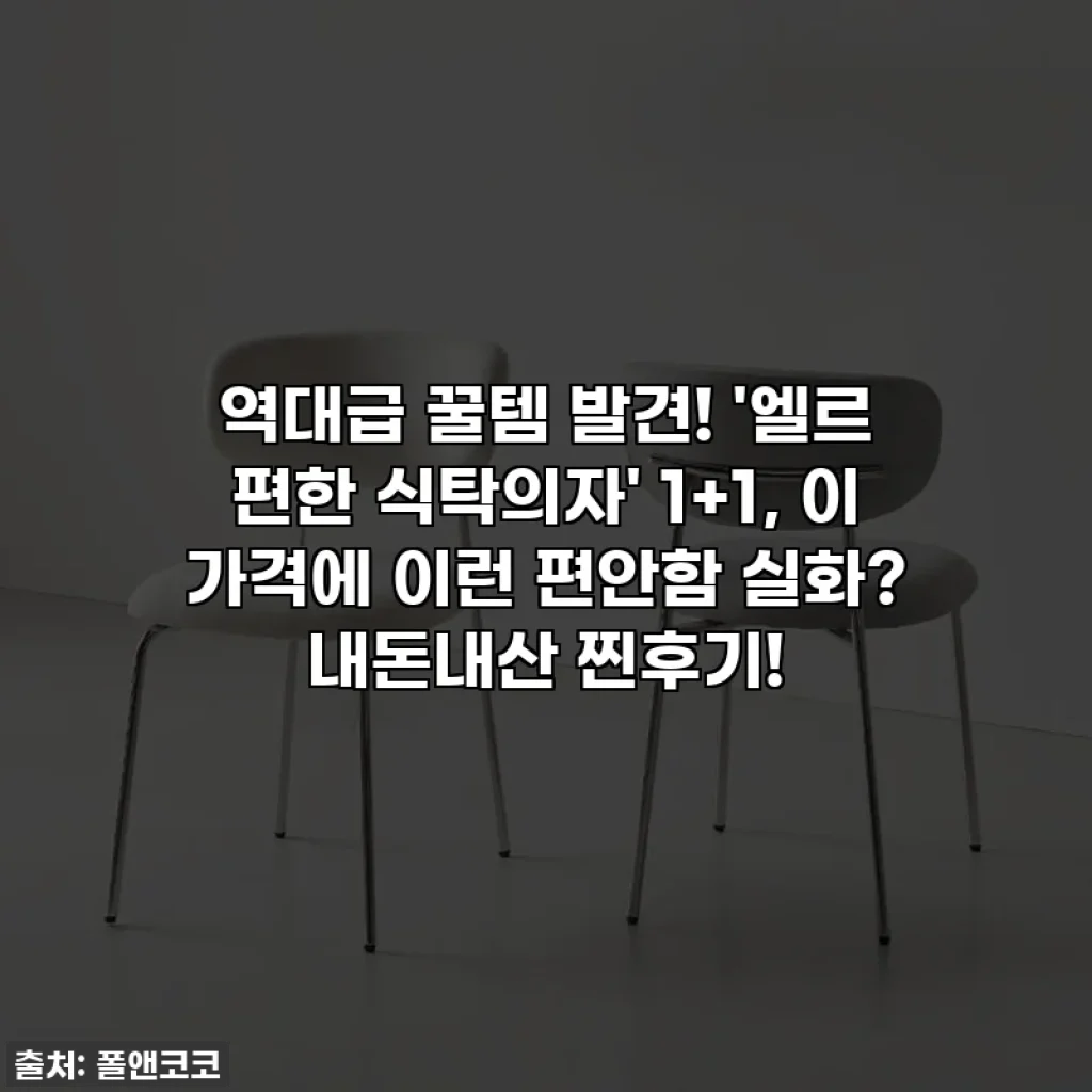 역대급 꿀템 발견! '엘르 편한 식탁의자' 1+1, 이 가격에 이런 편안함 실화? 내돈내산 찐후기!