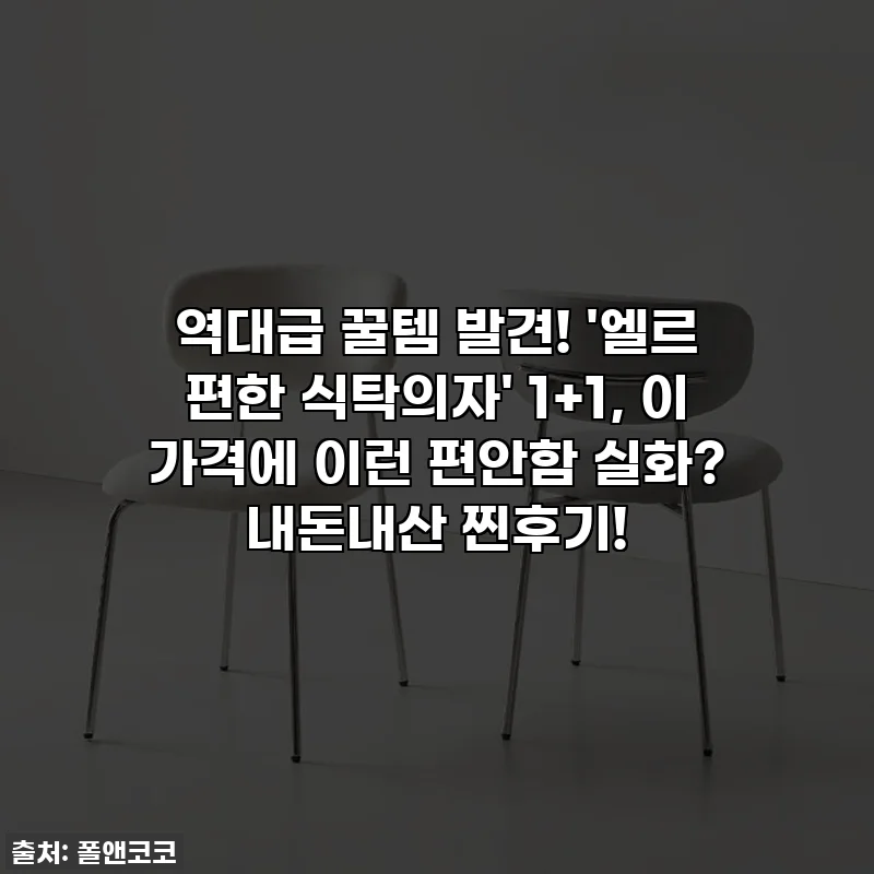 역대급 꿀템 발견! '엘르 편한 식탁의자' 1+1, 이 가격에 이런 편안함 실화? 내돈내산 찐후기!