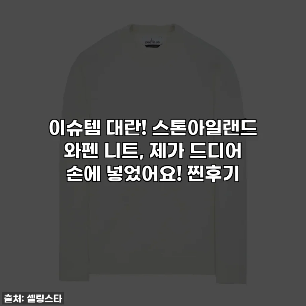 이슈템 대란! 스톤아일랜드 와펜 니트, 제가 드디어 손에 넣었어요! 찐후기