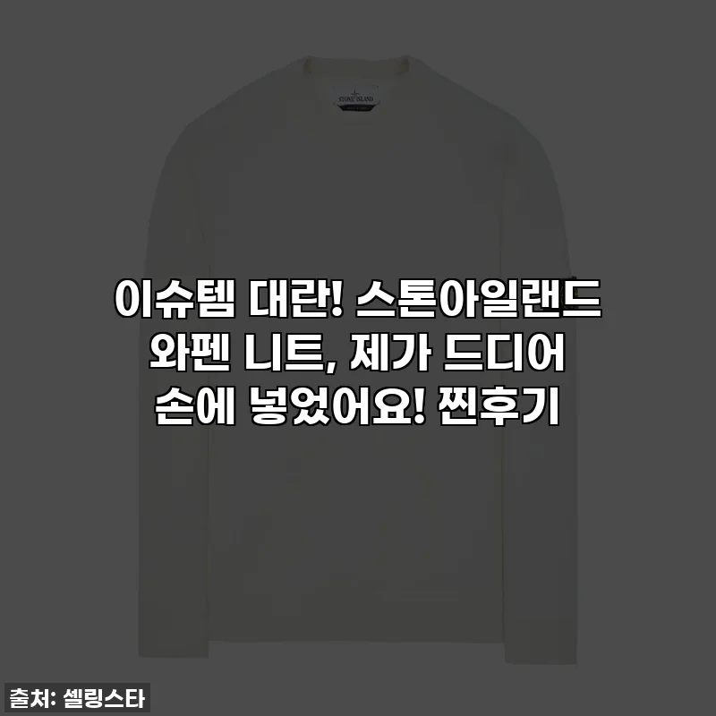 이슈템 대란! 스톤아일랜드 와펜 니트, 제가 드디어 손에 넣었어요! 찐후기