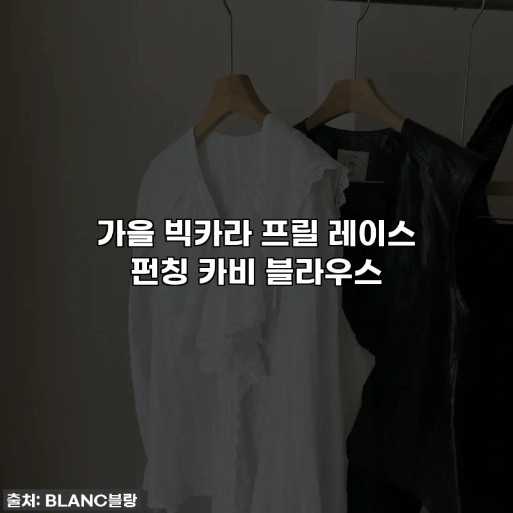 가을 빅카라 프릴 레이스 펀칭 카비 블라우스