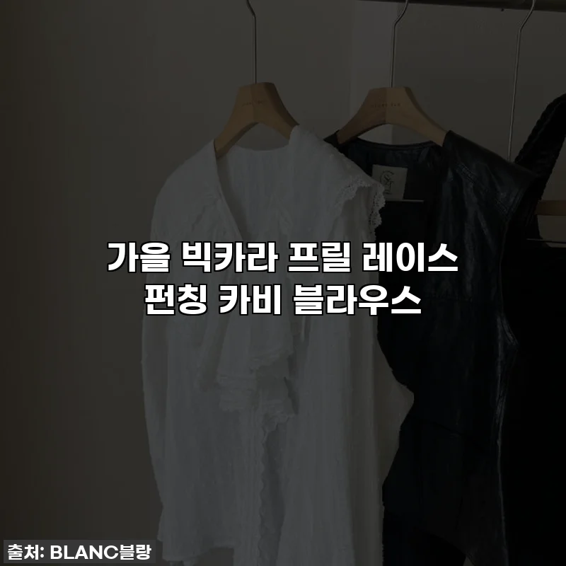 가을 빅카라 프릴 레이스 펀칭 카비 블라우스