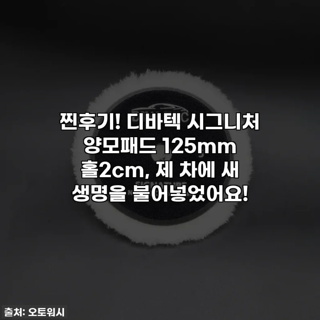 찐후기! 디바텍 시그니처 양모패드 125mm 홀2cm, 제 차에 새 생명을 불어넣었어요!