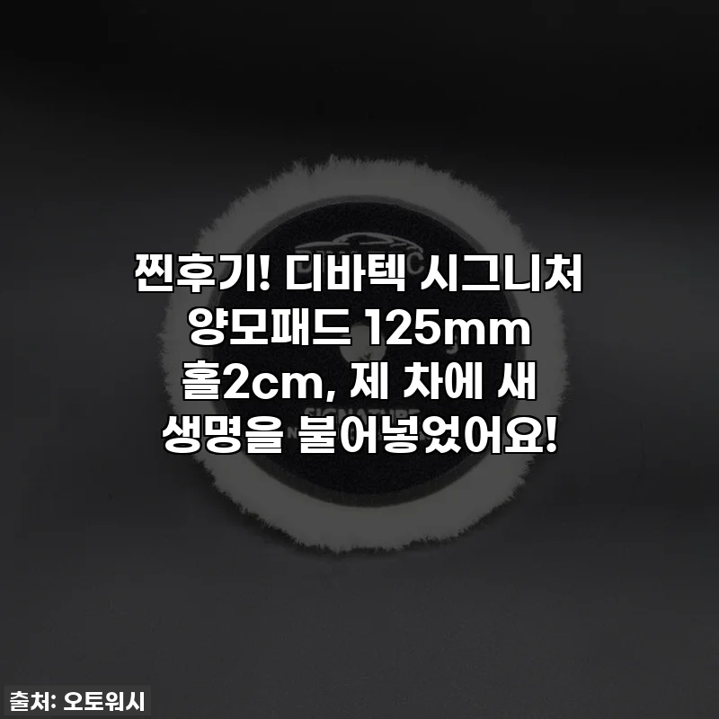 찐후기! 디바텍 시그니처 양모패드 125mm 홀2cm, 제 차에 새 생명을 불어넣었어요!
