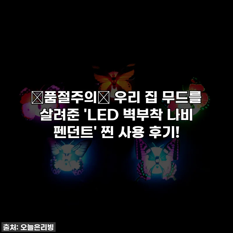 ✨품절주의✨ 우리 집 무드를 살려준 'LED 벽부착 나비 펜던트' 찐 사용 후기!
