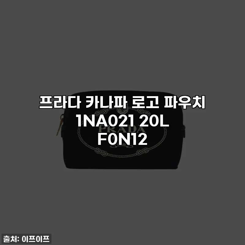 프라다 카나파 로고 파우치 1NA021 20L F0N12