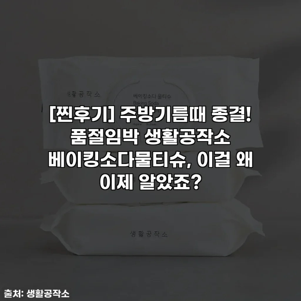 [찐후기] 주방기름때 종결! 품절임박 생활공작소 베이킹소다물티슈, 이걸 왜 이제 알았죠?