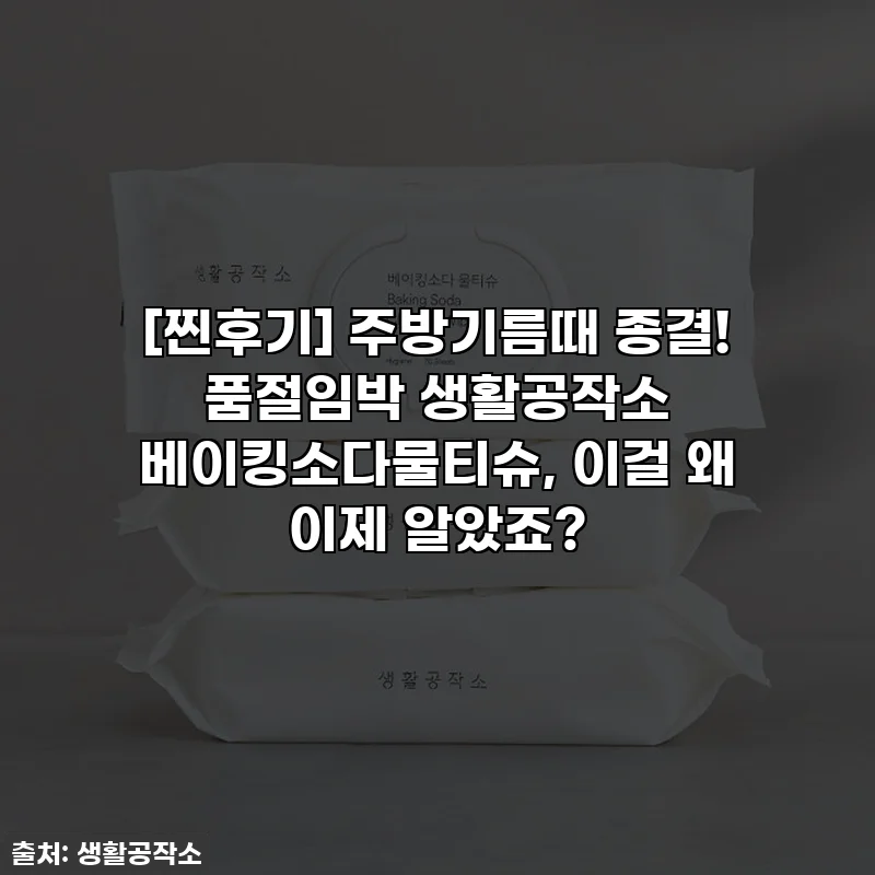 [찐후기] 주방기름때 종결! 품절임박 생활공작소 베이킹소다물티슈, 이걸 왜 이제 알았죠?