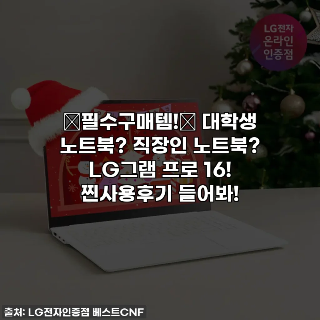 💖필수구매템!💖 대학생 노트북? 직장인 노트북? LG그램 프로 16! 찐사용후기 들어봐!