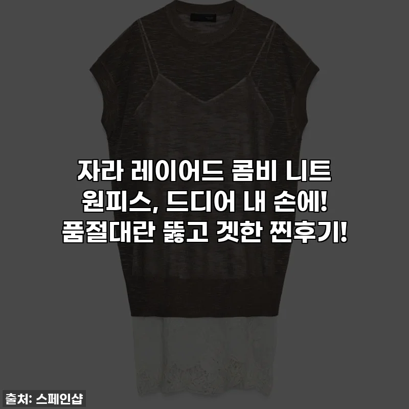 자라 레이어드 콤비 니트 원피스, 드디어 내 손에! 품절대란 뚫고 겟한 찐후기!