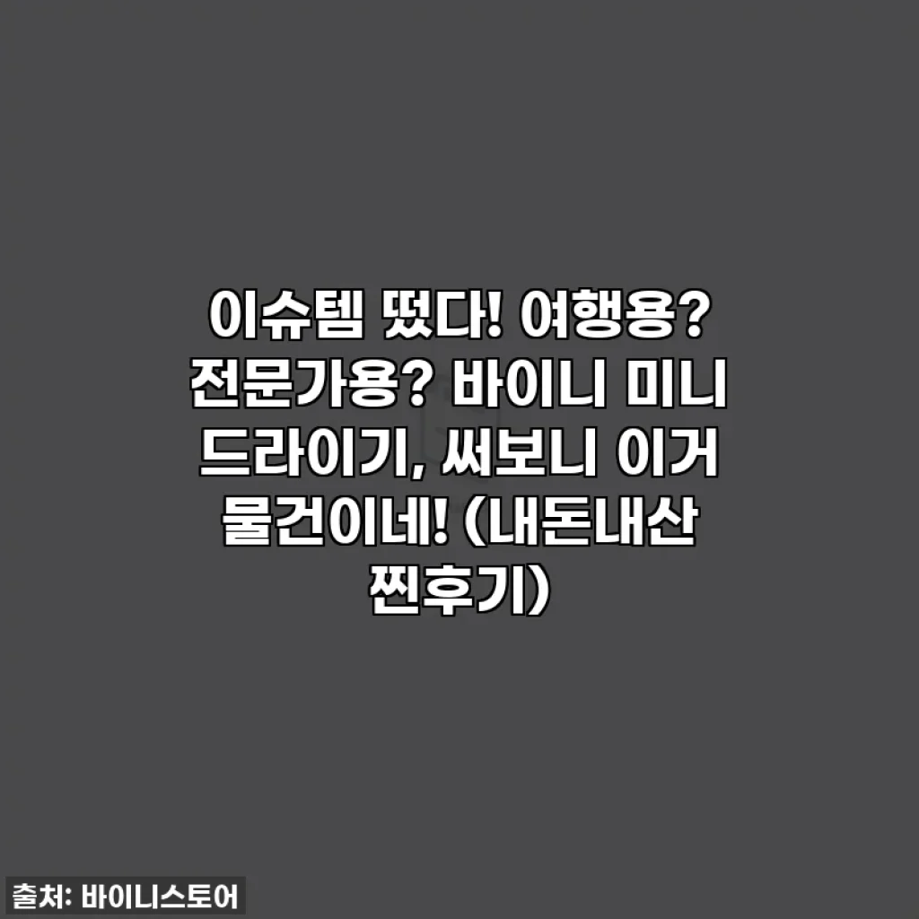 이슈템 떴다! 여행용? 전문가용? 바이니 미니 드라이기, 써보니 이거 물건이네! (내돈내산 찐후기)