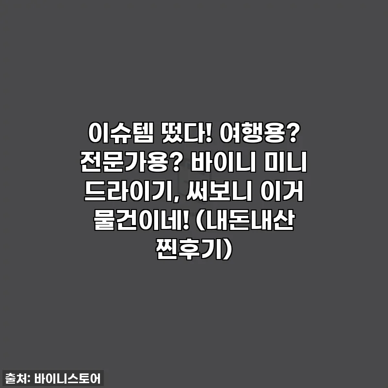 이슈템 떴다! 여행용? 전문가용? 바이니 미니 드라이기, 써보니 이거 물건이네! (내돈내산 찐후기)