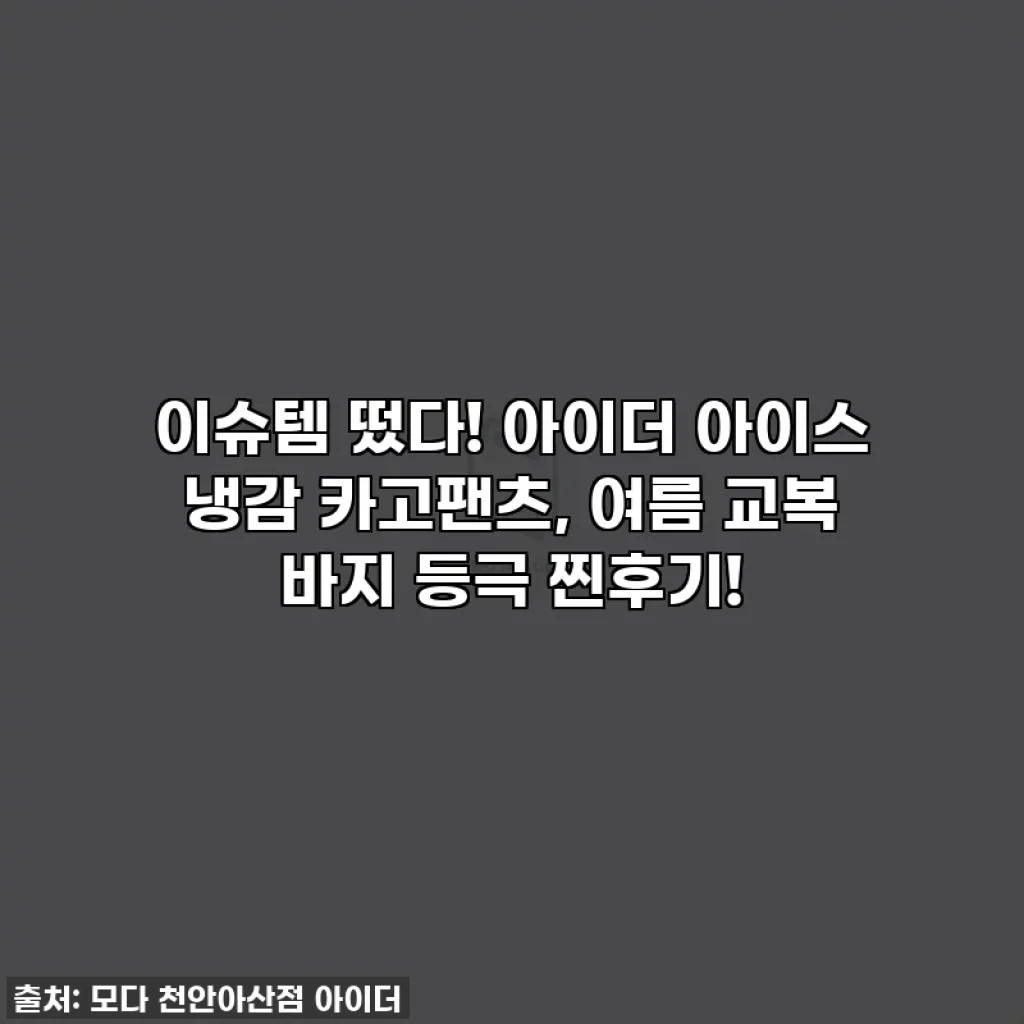 이슈템 떴다! 아이더 아이스 냉감 카고팬츠, 여름 교복 바지 등극 찐후기!