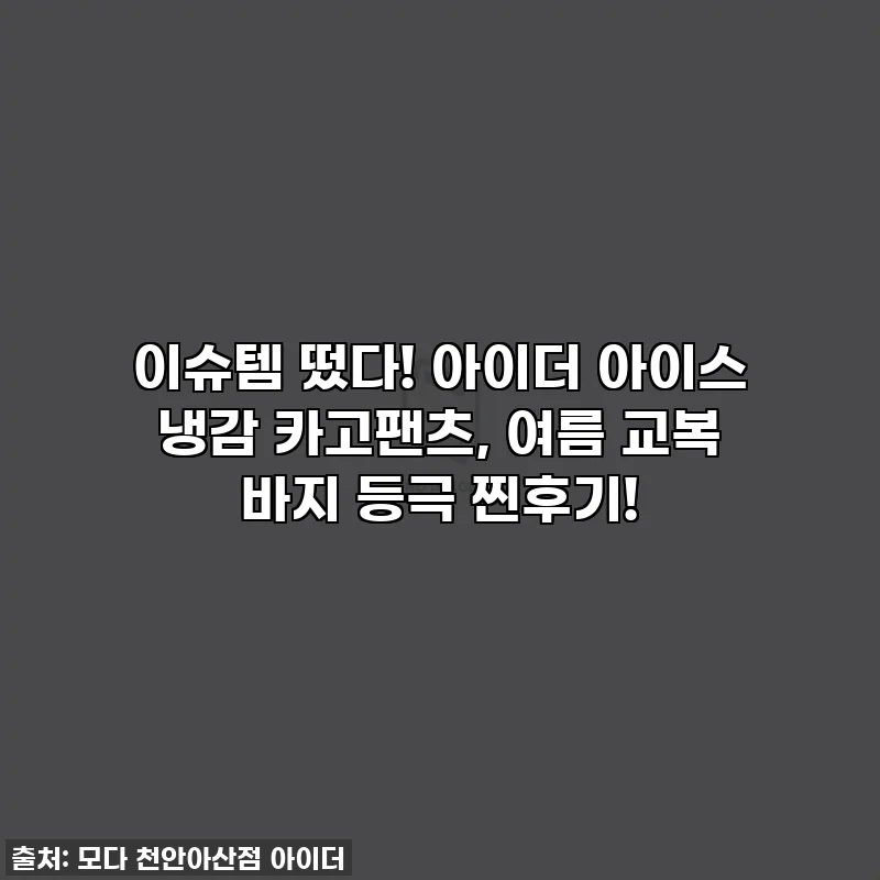 이슈템 떴다! 아이더 아이스 냉감 카고팬츠, 여름 교복 바지 등극 찐후기!