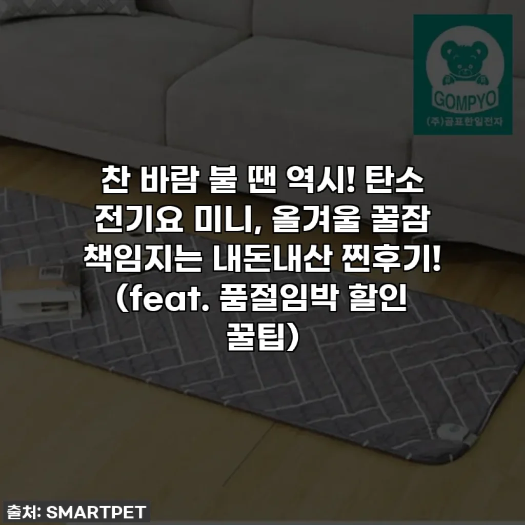 찬 바람 불 땐 역시! 탄소 전기요 미니, 올겨울 꿀잠 책임지는 내돈내산 찐후기! (feat. 품절임박 할인 꿀팁)