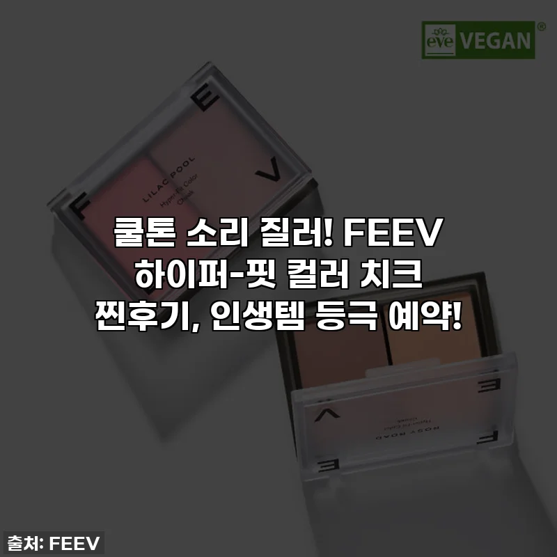 쿨톤 소리 질러! FEEV 하이퍼-핏 컬러 치크 찐후기, 인생템 등극 예약!