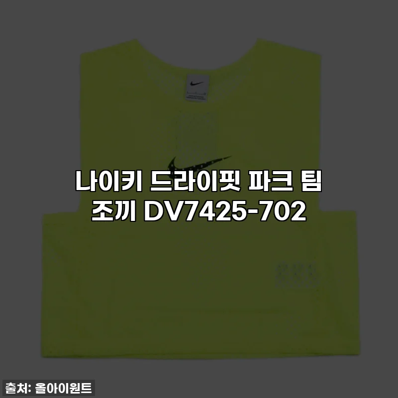 나이키 드라이핏 파크 팀 조끼 DV7425-702