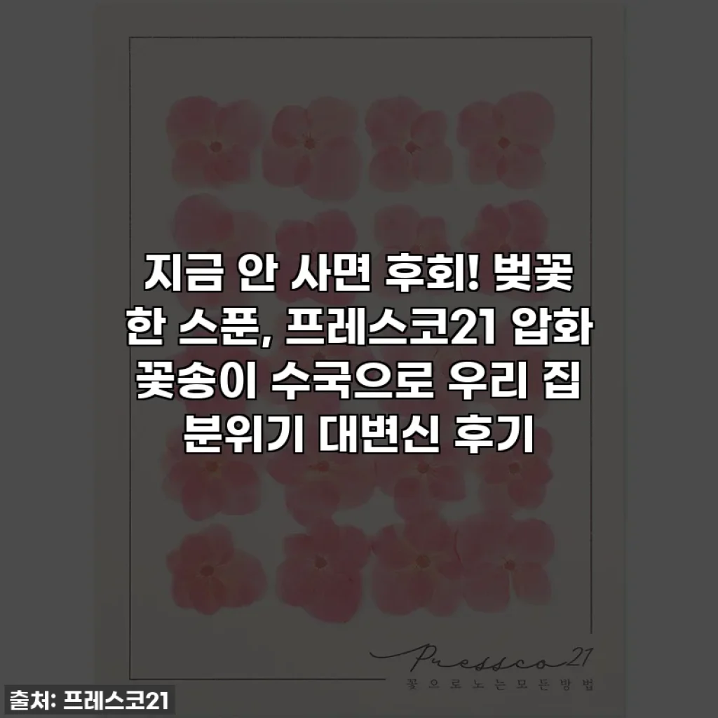 지금 안 사면 후회! 벚꽃 한 스푼, 프레스코21 압화 꽃송이 수국으로 우리 집 분위기 대변신 후기