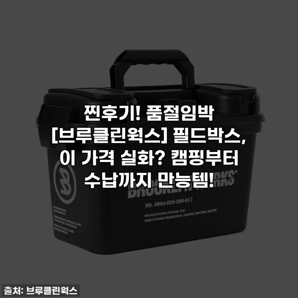 찐후기! 품절임박 [브루클린웍스] 필드박스, 이 가격 실화? 캠핑부터 수납까지 만능템!