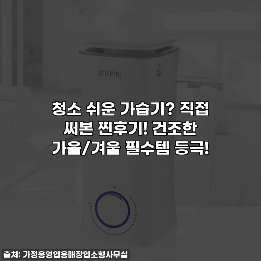 청소 쉬운 가습기? 직접 써본 찐후기! 건조한 가을/겨울 필수템 등극!
