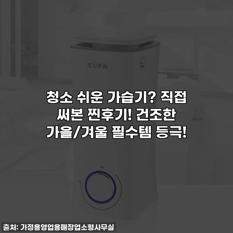 청소 쉬운 가습기? 직접 써본 찐후기! 건조한 가을/겨울 필수템 등극!
