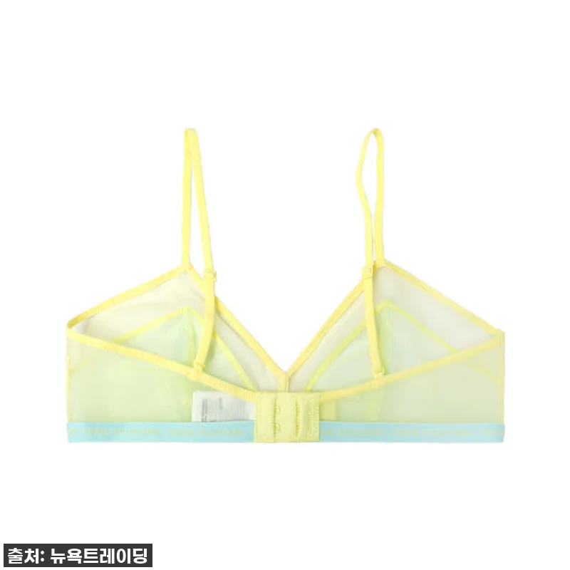 지금 아니면 후회할 캘빈클라인 여성 관련 이미지 1