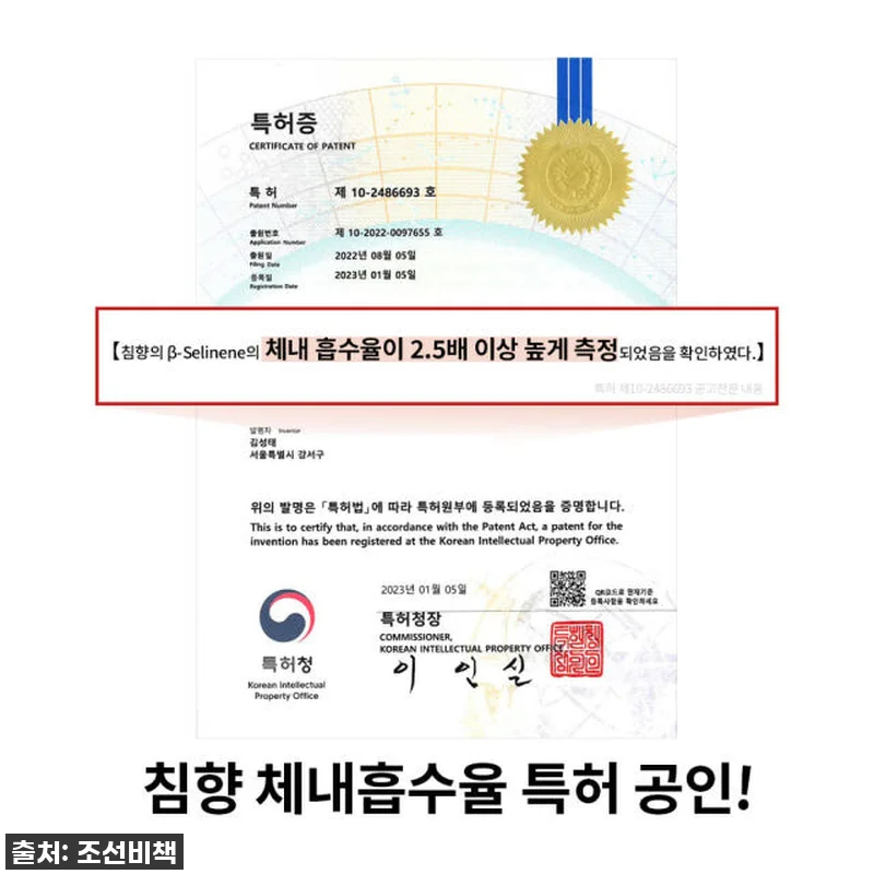 💥품절대란 예상! 조선황림 프리미엄 관련 이미지 2