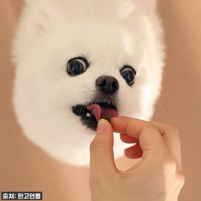 찐후기! 16% 할인 중인 브리젠 홀 관련 이미지 3