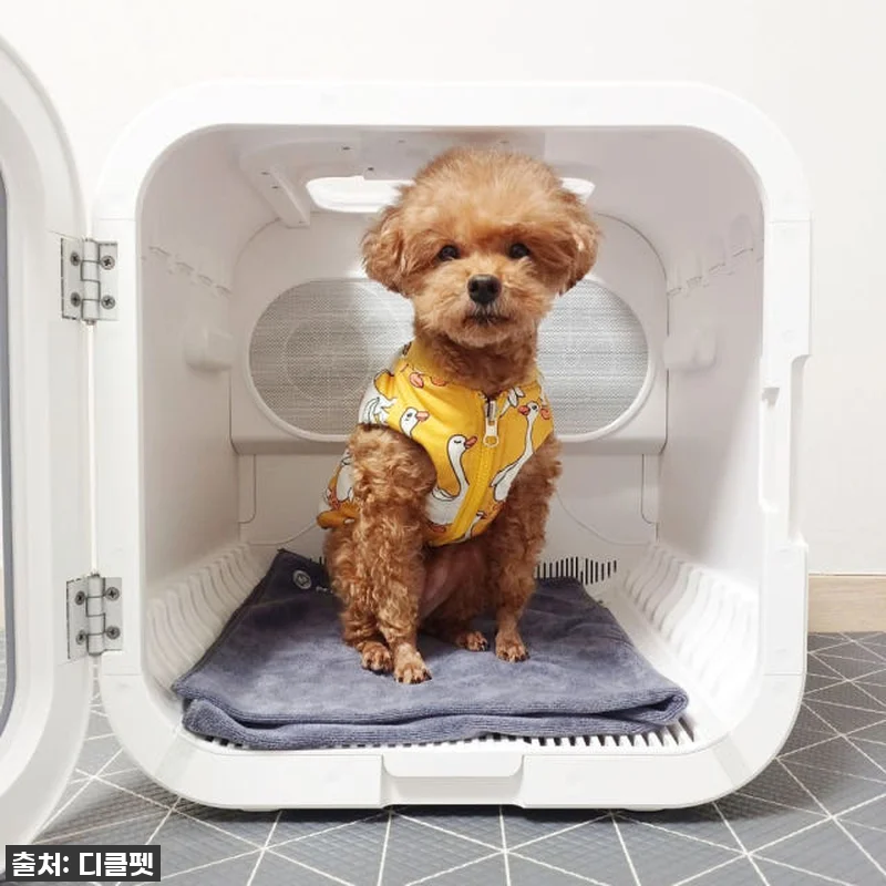 이젠 목욕이 즐거워! 디클펫 펫드라이 관련 이미지 2