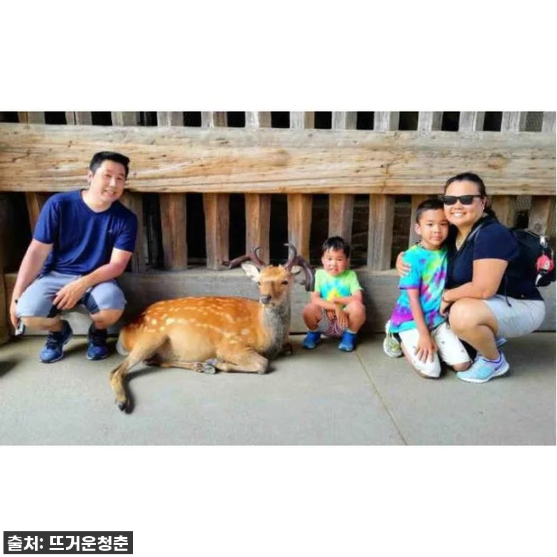 이 가격 실화?! 일본 나라 가족여행 관련 이미지 3