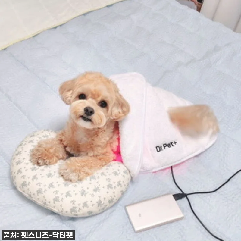 우리 강아지 다시 팔짝팔짝! '닥터펫 관련 이미지 4