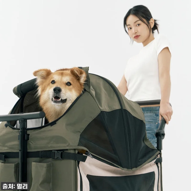 지금 안 사면 후회! 멀리 저상형 웨 관련 이미지 4