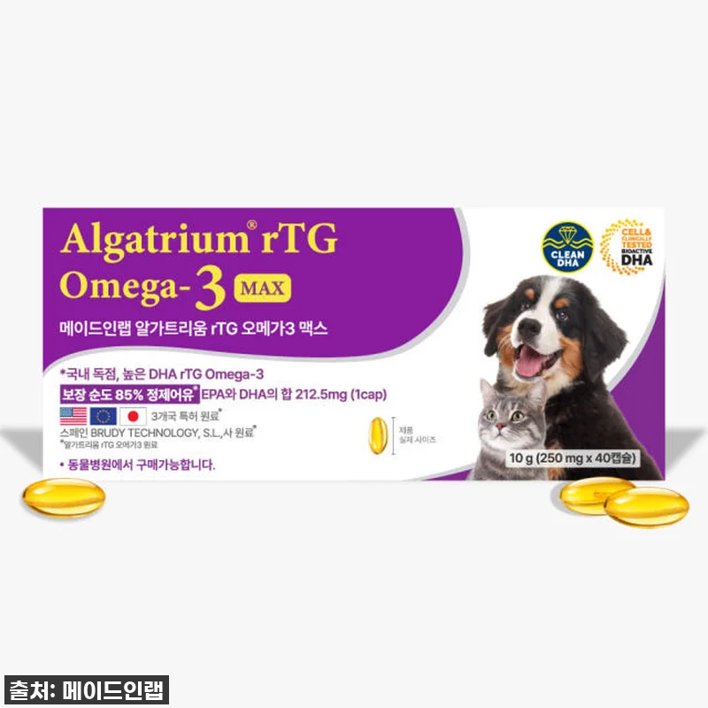 강아지 눈 영양제 오메가3 알가트리움 관련 이미지 5