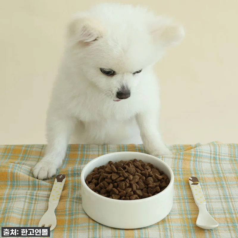 찐후기! 16% 할인 중인 브리젠 홀 관련 이미지 6