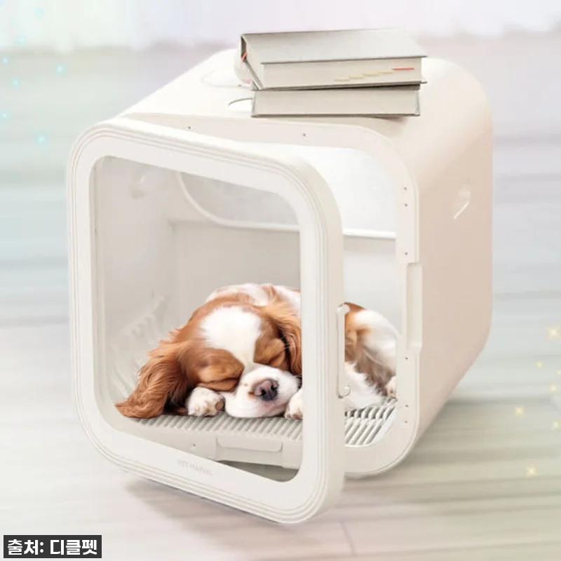 이젠 목욕이 즐거워! 디클펫 펫드라이 관련 이미지 5