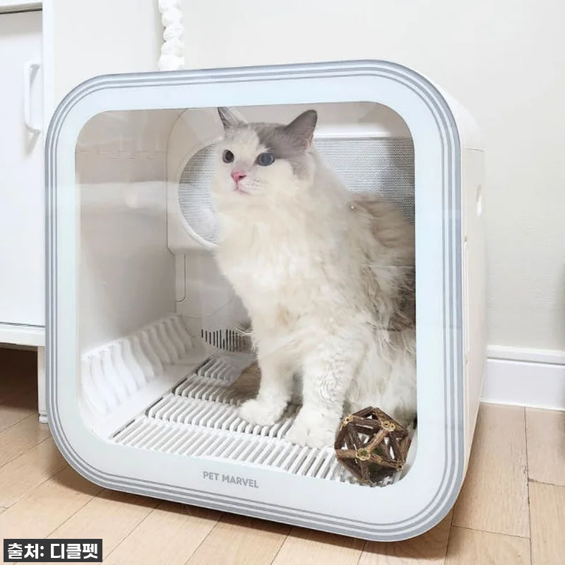 이젠 목욕이 즐거워! 디클펫 펫드라이 관련 이미지 6