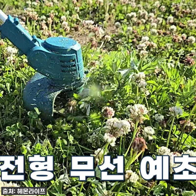 역대급 할인 놓치면 후회! 헤몬 다벤 관련 이미지 9