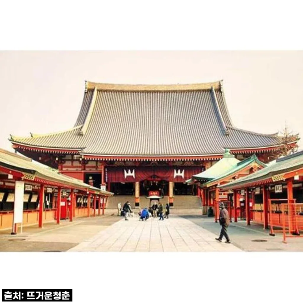 도쿄 여행의 신세계 오픈! '개인 맞춤형 1일 투어' 직접 써보니 이건 무조건 품절각이에요!