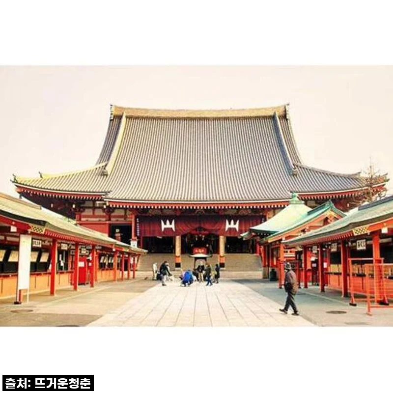 도쿄 여행의 신세계 오픈! '개인 맞춤형 1일 투어' 직접 써보니 이건 무조건 품절각이에요!