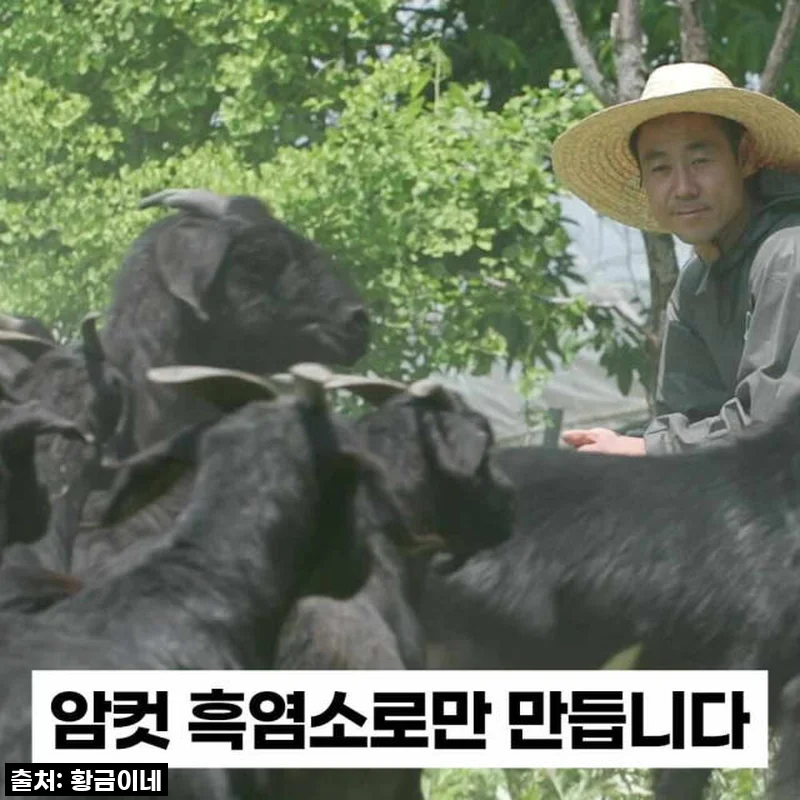 🔥단 57% 할인! 황금이네 흑염소진액, 제가 직접 마셔보니… 찐 몸보신템 인정!