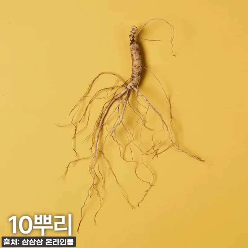 72,800원의 행복! 5,6년근 강 관련 이미지 1