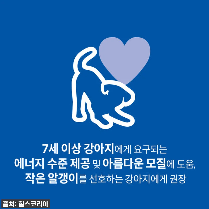 우리집 댕댕이들의 활력 비결! 힐스 관련 이미지 1