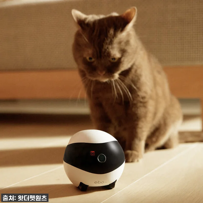 자동충전하는 이동식 CCTV 홈캠 이 관련 이미지 2