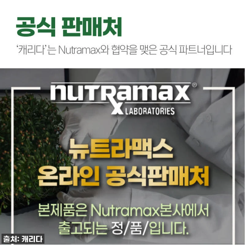 온 가족 활력 충전! 브로콜리새싹 설 관련 이미지 7