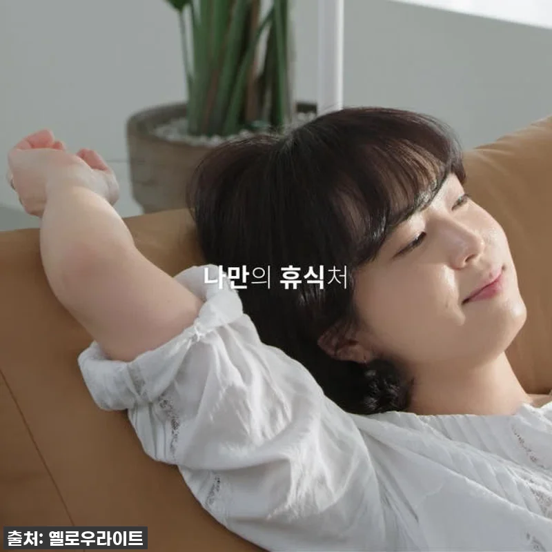 PH3 천연면피 PURE100% 4인 관련 이미지 9
