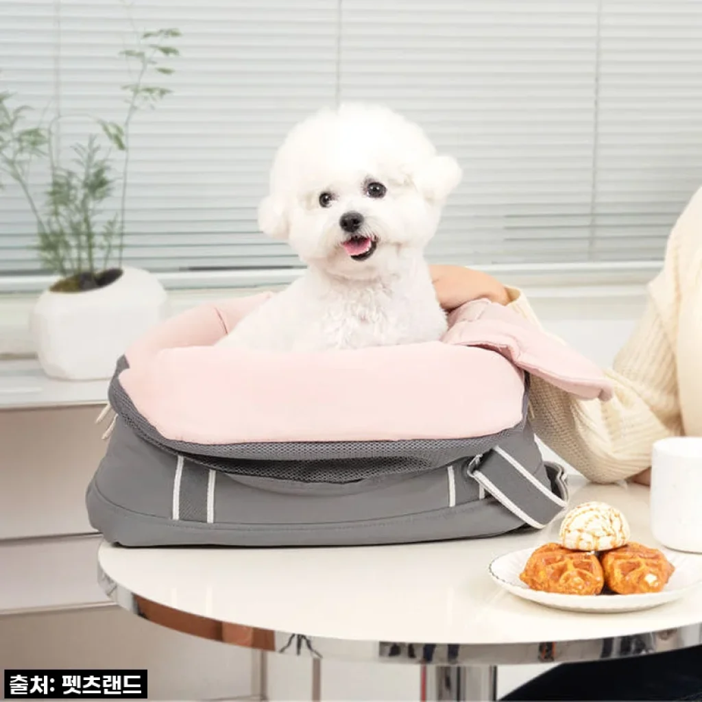 품절대란 예상! 우리집 댕댕이, 포밍베딩백L로 핵인싸 등극! (feat. 역대급 할인 꿀팁)