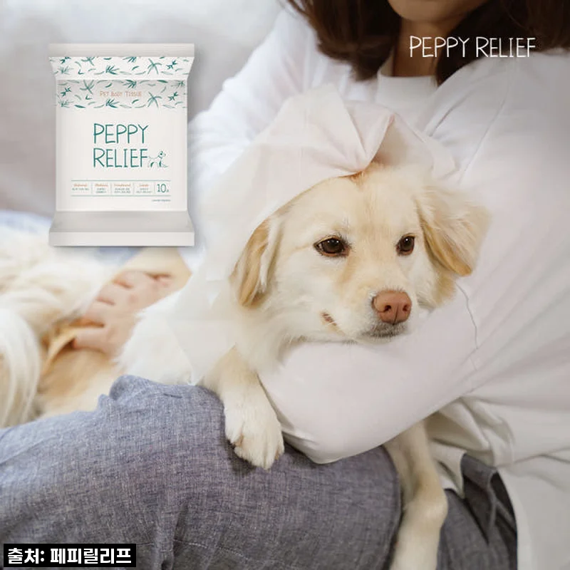 우리 집 댕댕이 산책 후 비린내 고민 끝! 페피릴리프 강아지 바디티슈 솔직 사용 후기